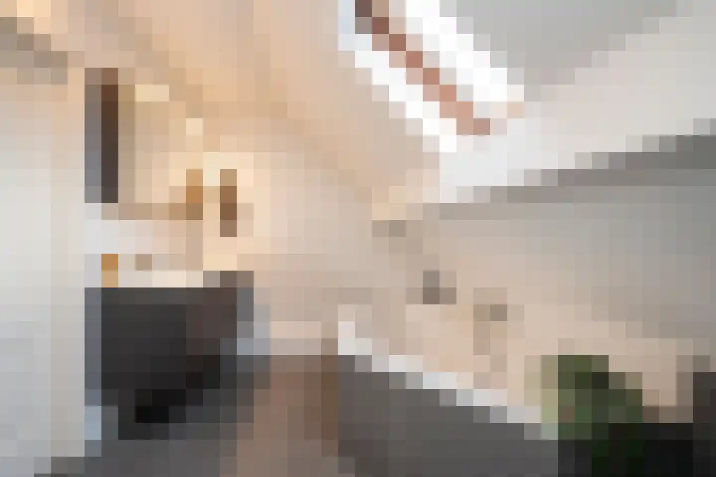 Parallelweg 16 De Steeg thumbnail 23