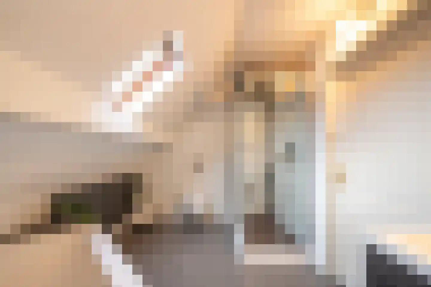 Parallelweg 16 De Steeg thumbnail 24