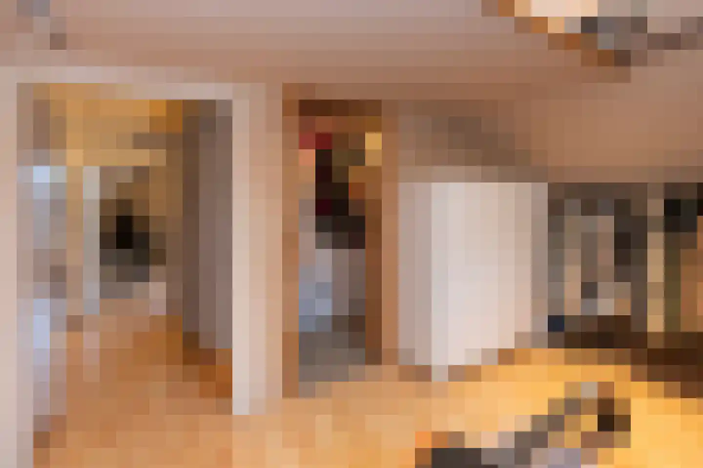 Parallelweg 16 De Steeg thumbnail 28