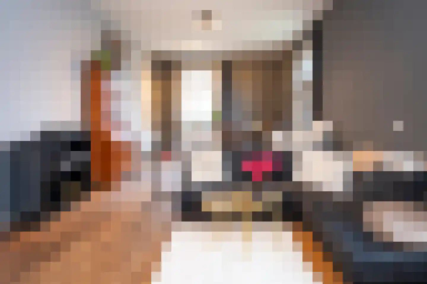 Parallelweg 16 De Steeg thumbnail 30