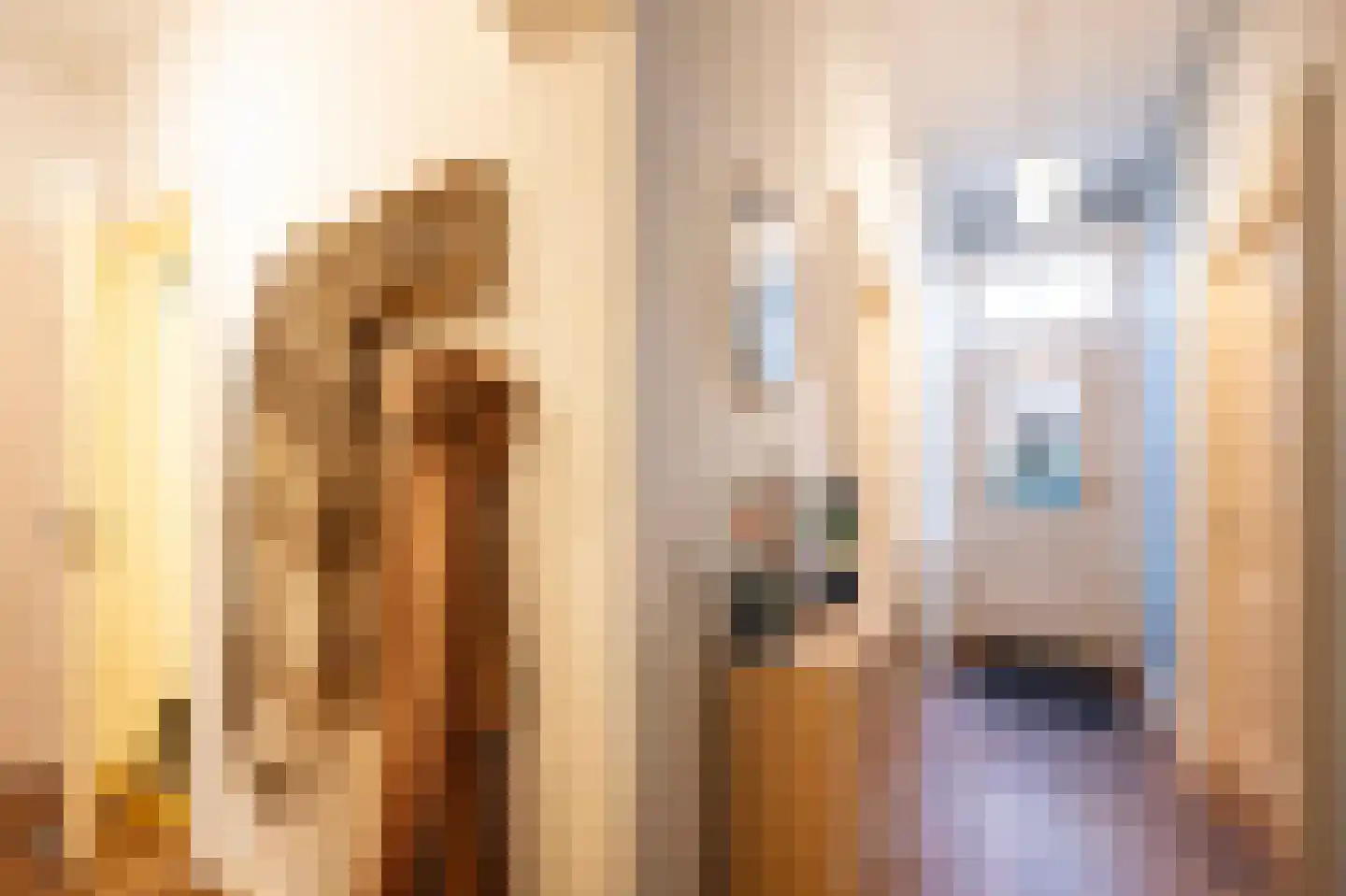 Parallelweg 16 De Steeg thumbnail 37