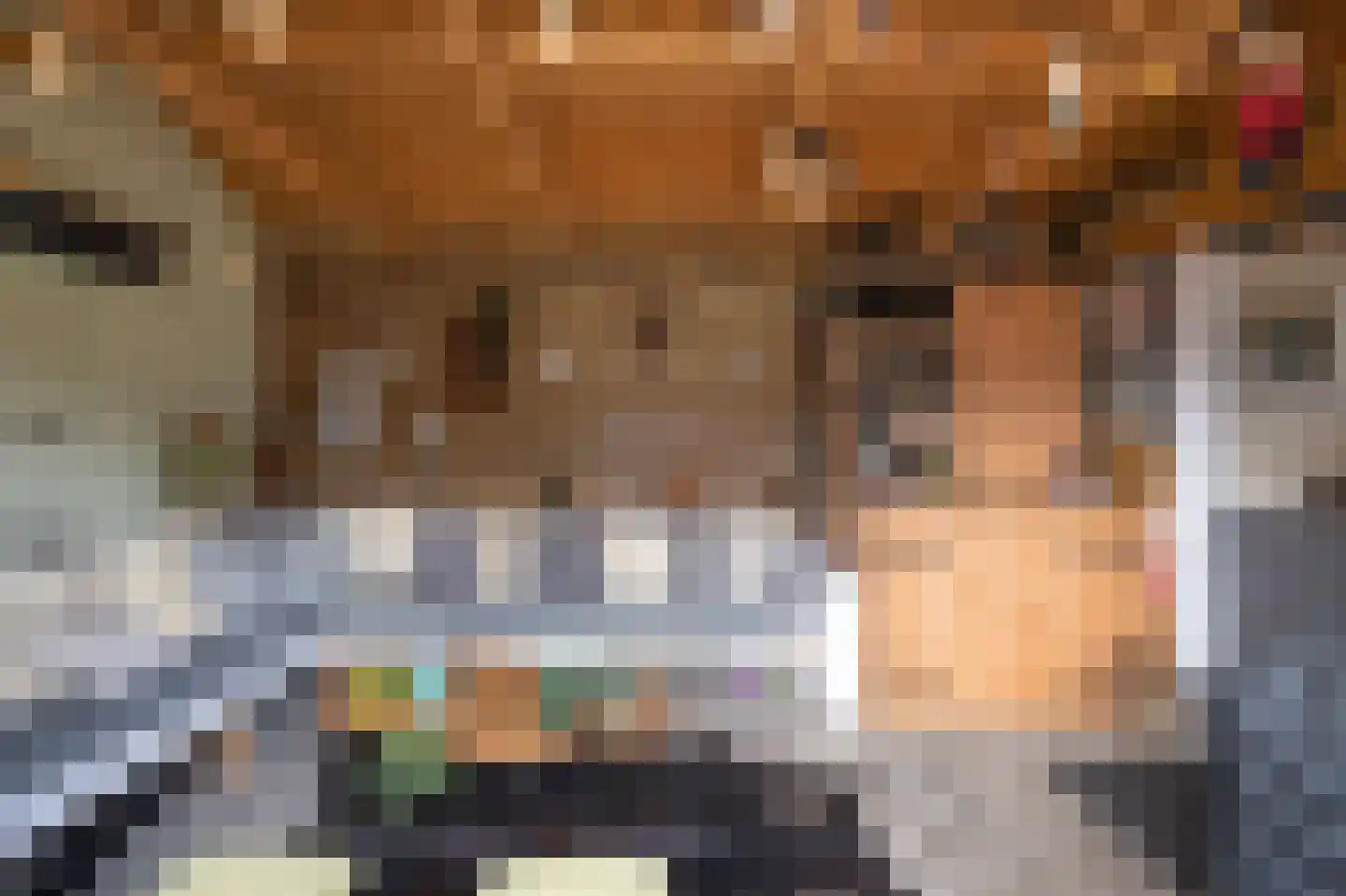Parallelweg 16 De Steeg thumbnail 50