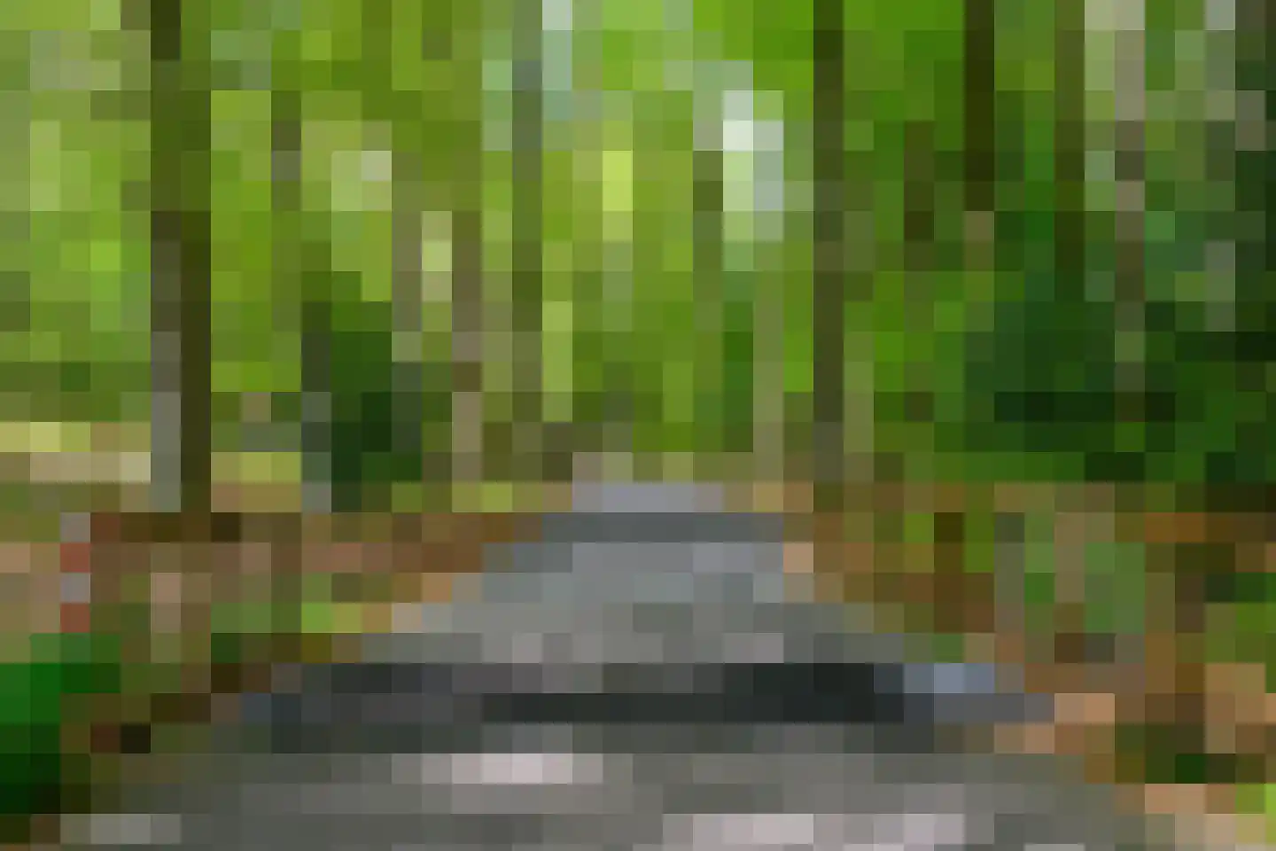 Parallelweg 16 De Steeg thumbnail 62