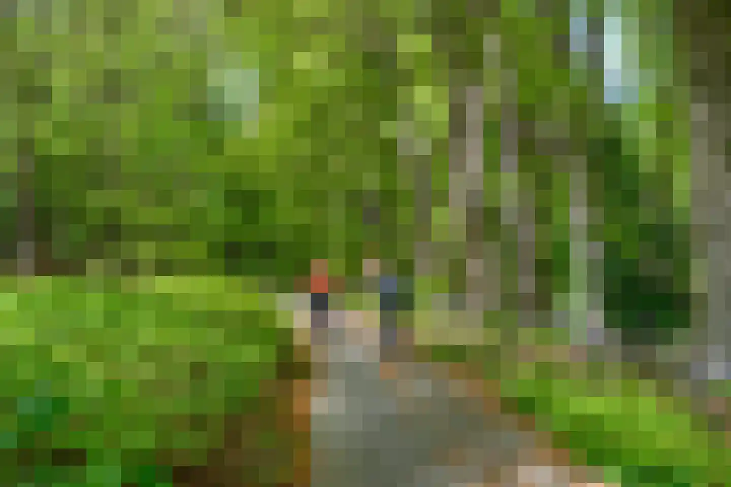 Parallelweg 16 De Steeg thumbnail 63
