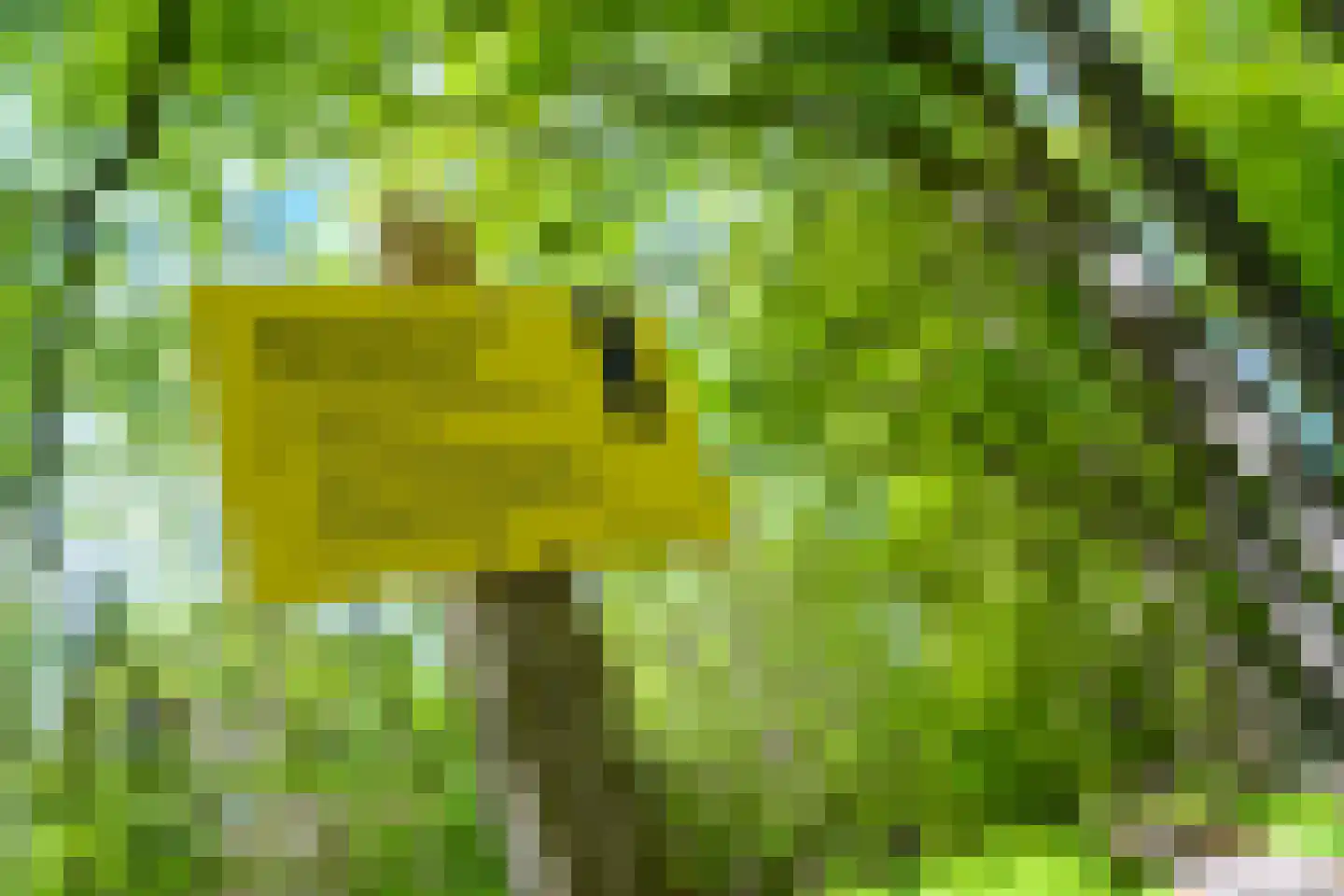 Parallelweg 16 De Steeg thumbnail 65