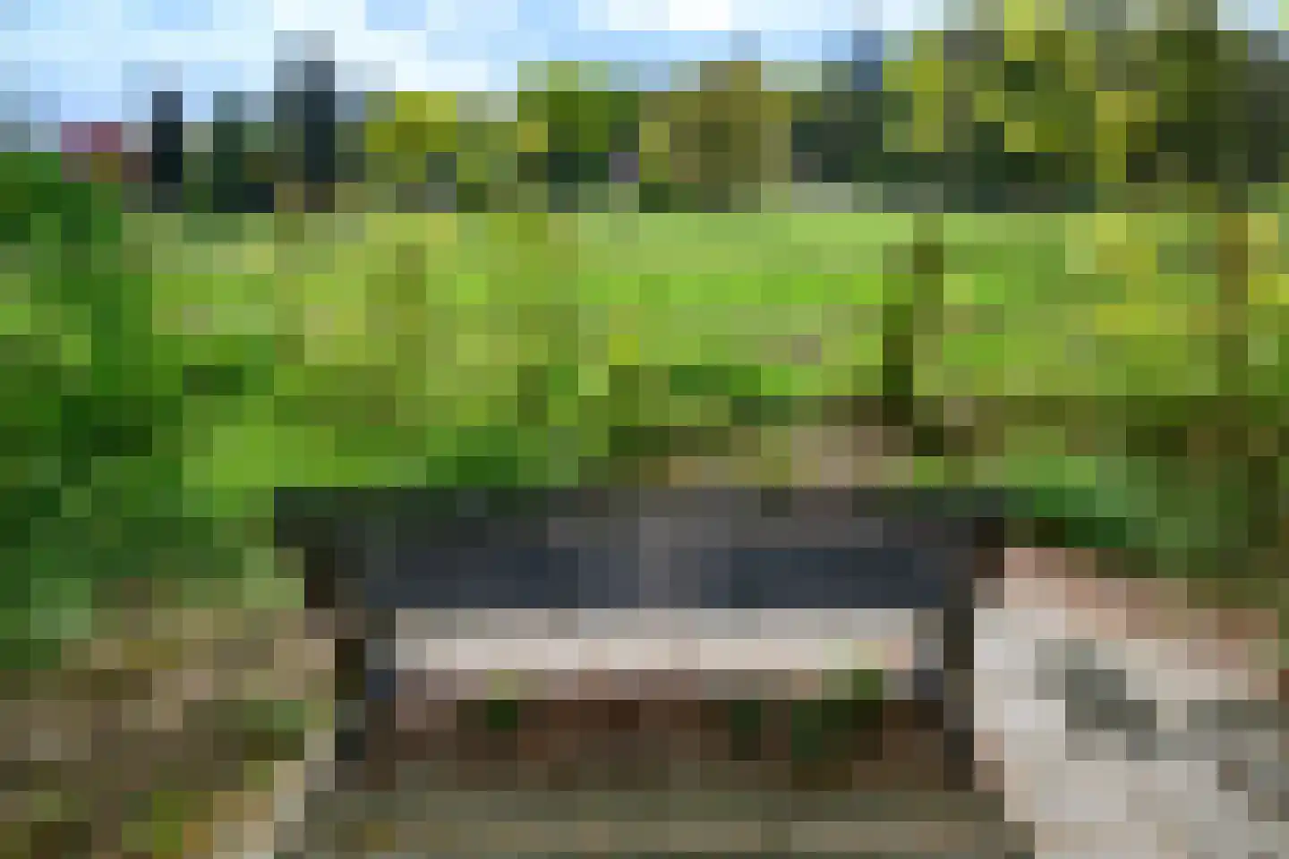 Parallelweg 16 De Steeg thumbnail 66