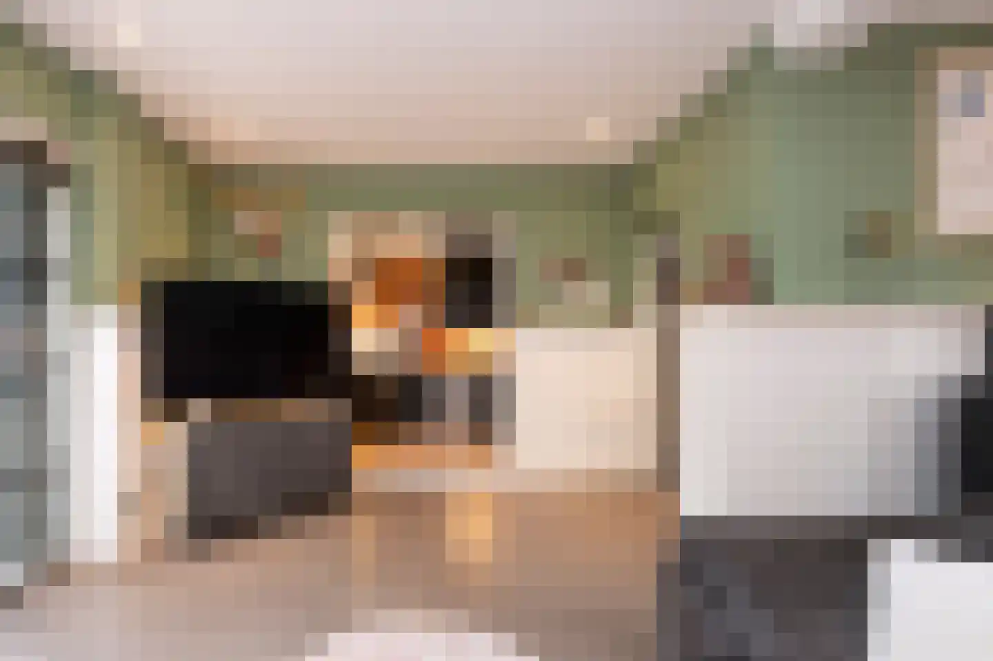 Parallelweg 16 De Steeg thumbnail 7