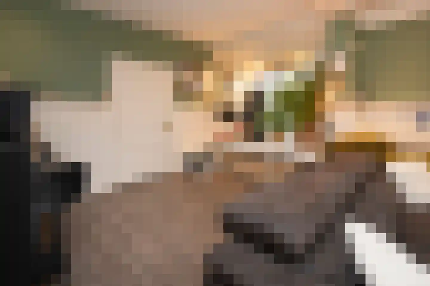 Parallelweg 16 De Steeg thumbnail 8