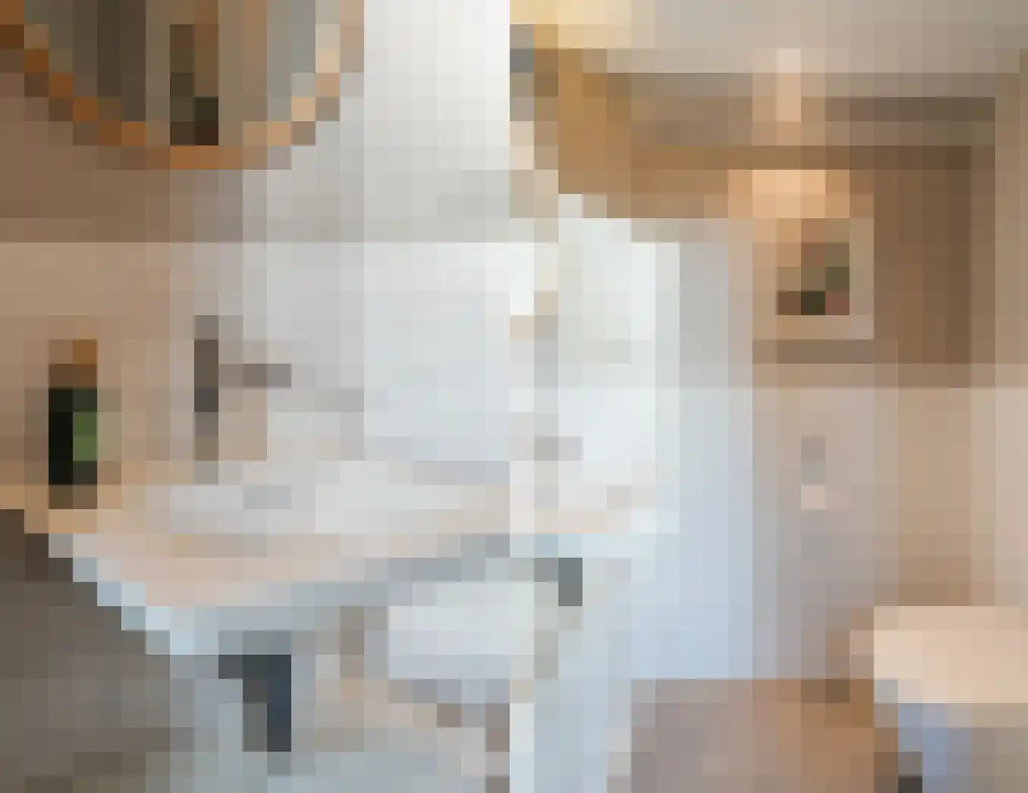 Parallelweg 16 Geldrop thumbnail 25