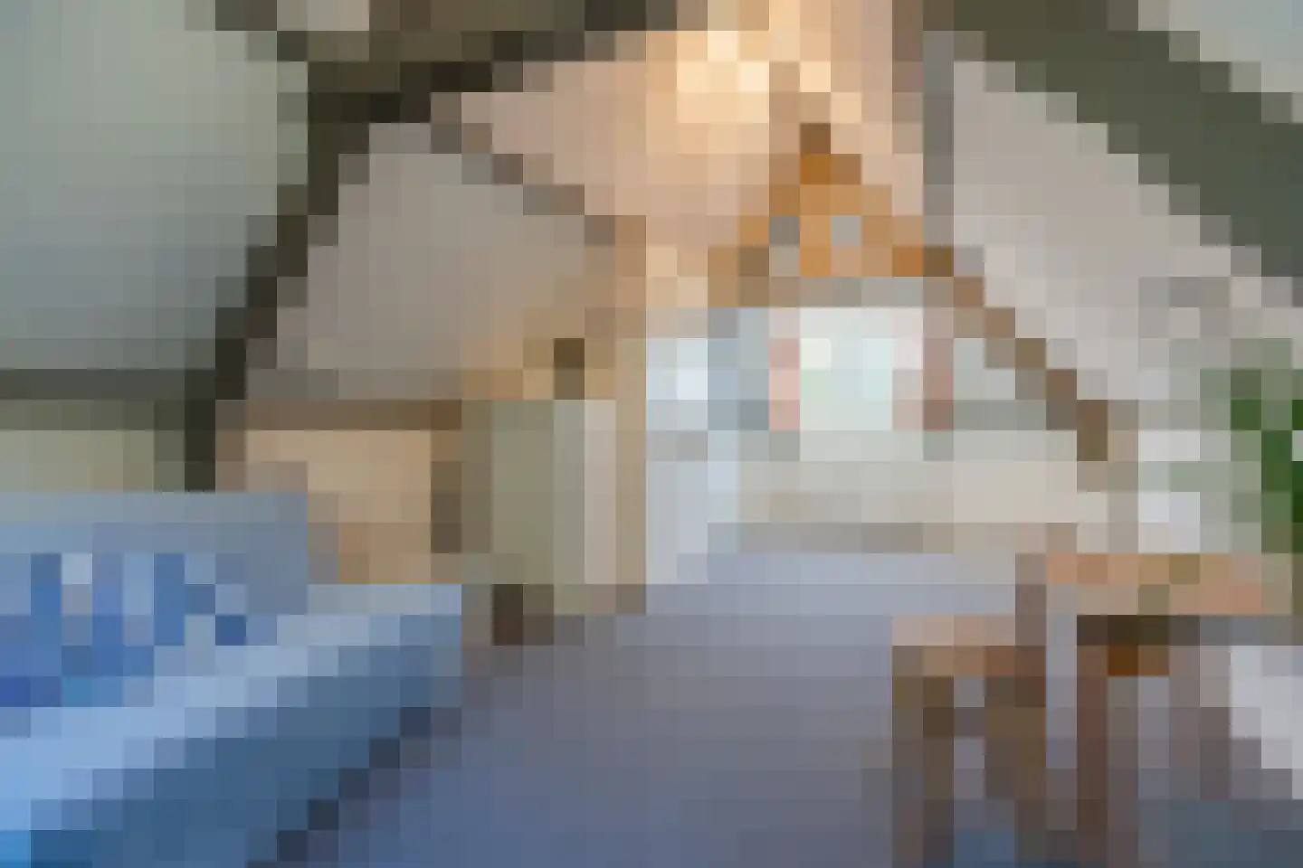 Parallelweg 16 Geldrop thumbnail 47