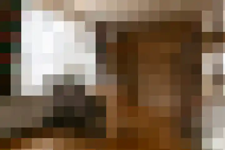 Parallelweg 18 Rheden thumbnail 10