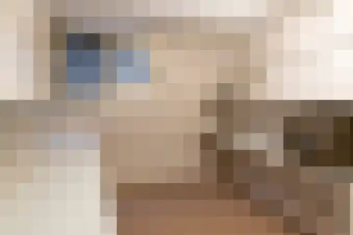 Parallelweg 18 Rheden thumbnail 12