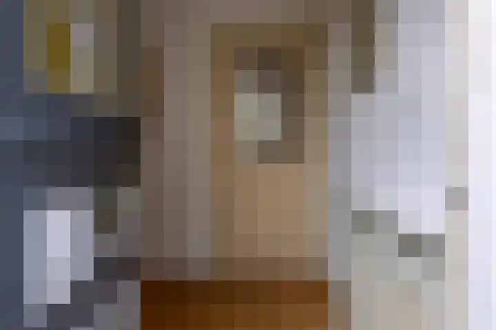 Parallelweg 18 Rheden thumbnail 5