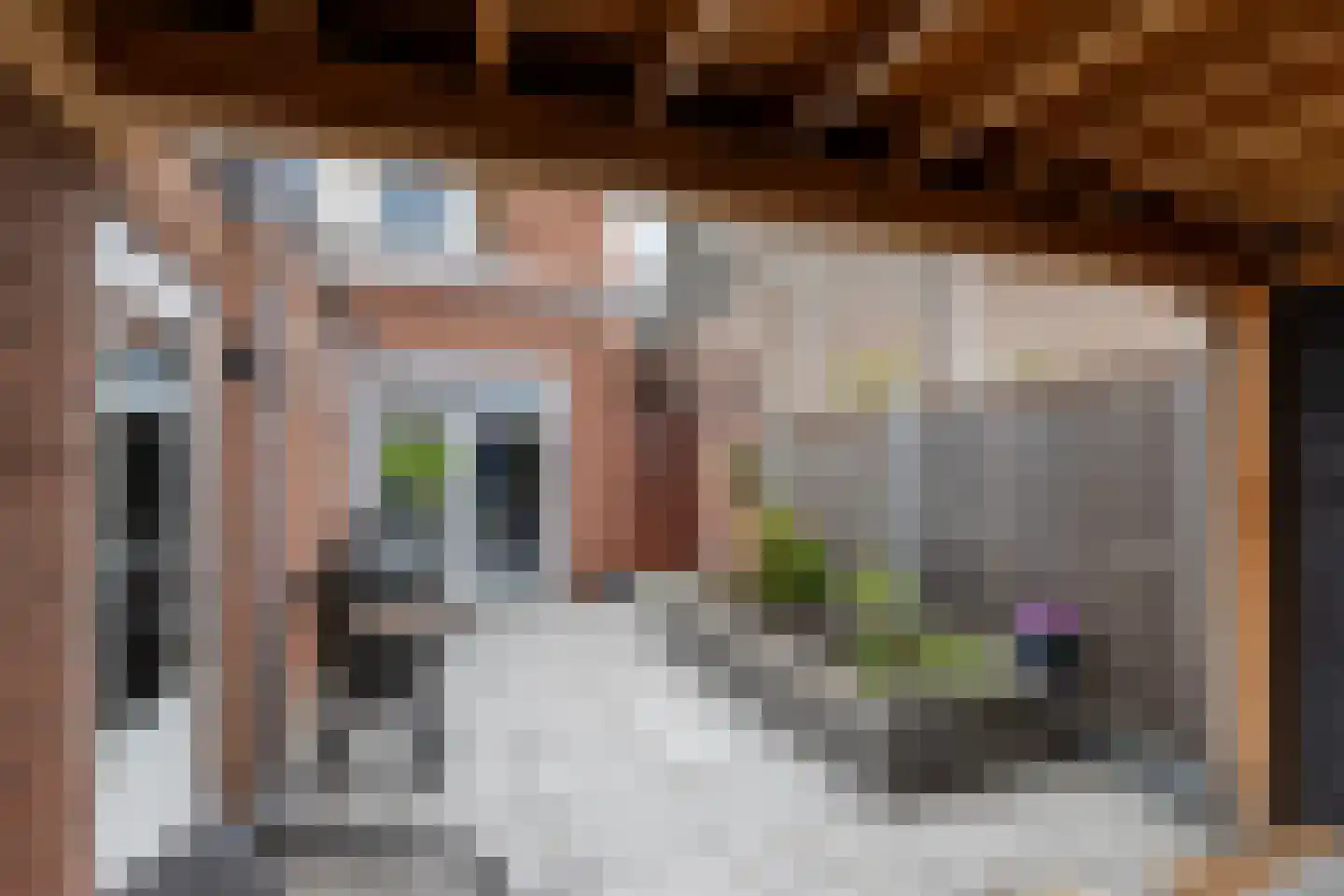 Parallelweg 186 Bergen op Zoom thumbnail 32