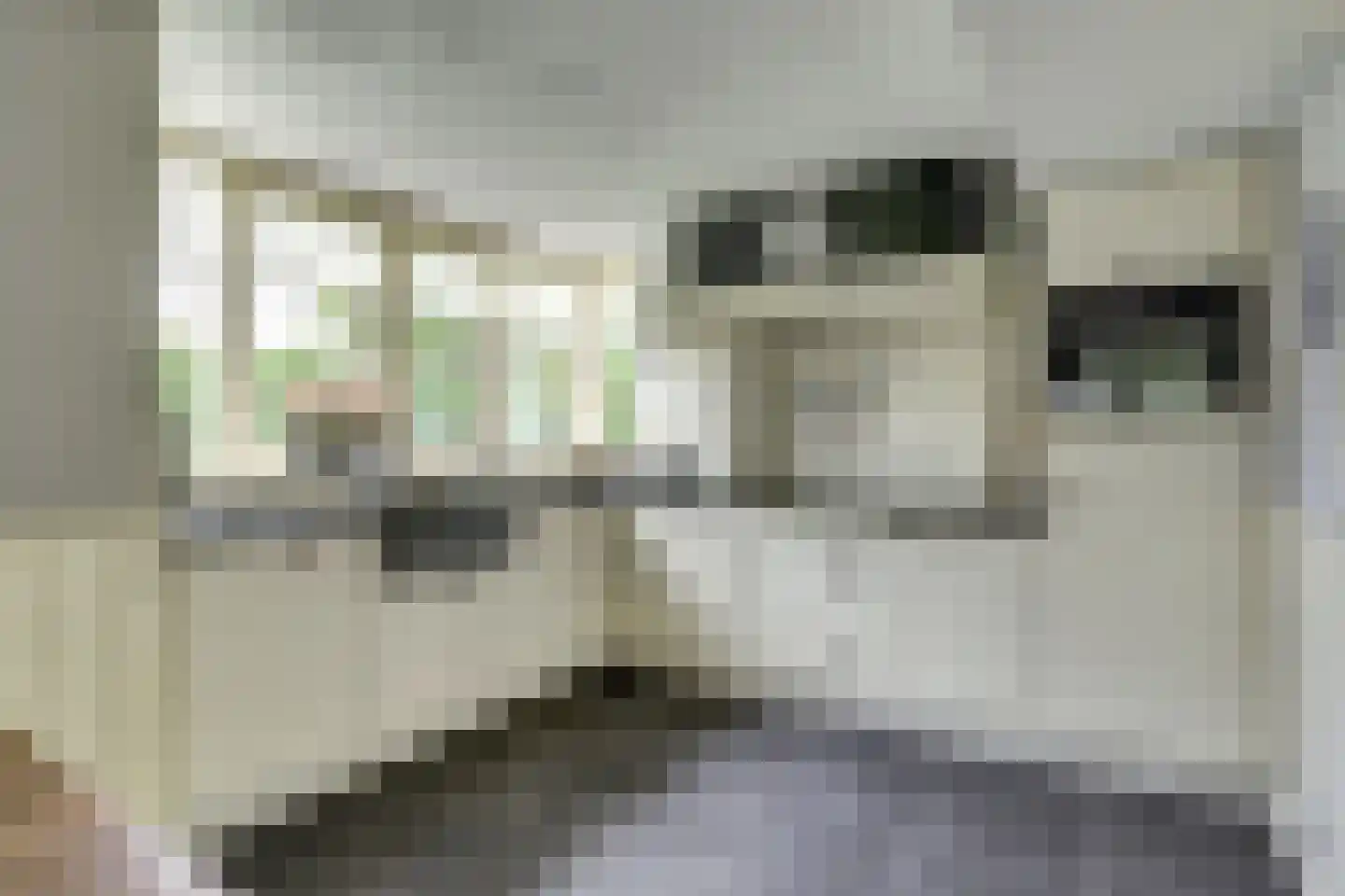 Parallelweg 19 Leerdam thumbnail 17