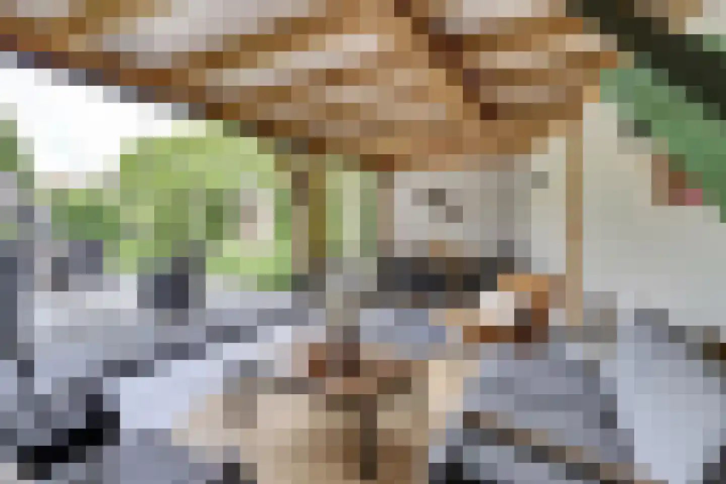 Parallelweg 19 Leerdam thumbnail 4