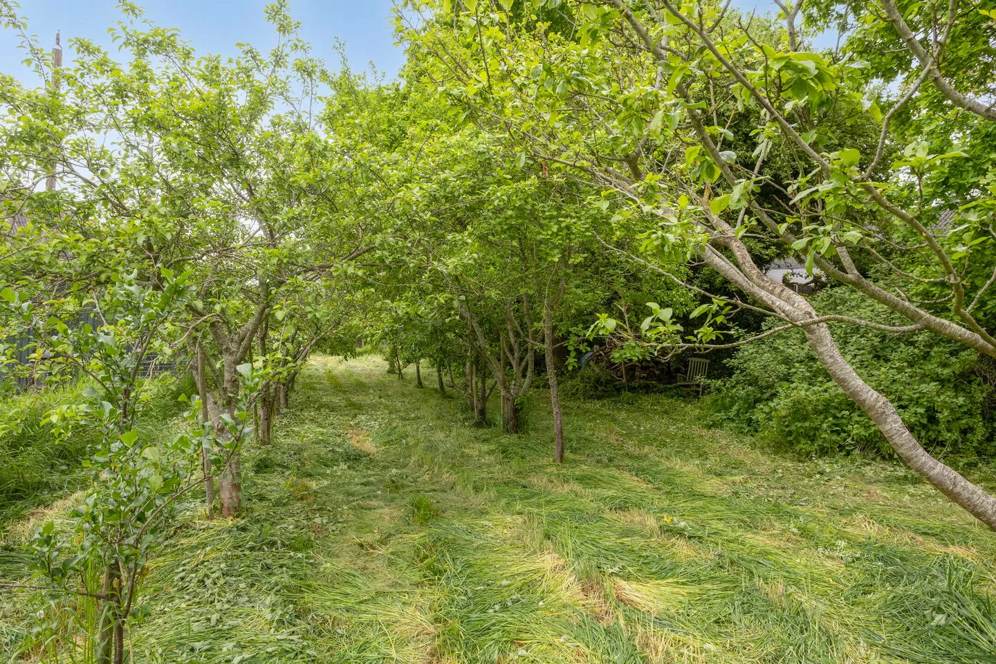 Parallelweg 2 B Batenburg thumbnail 4
