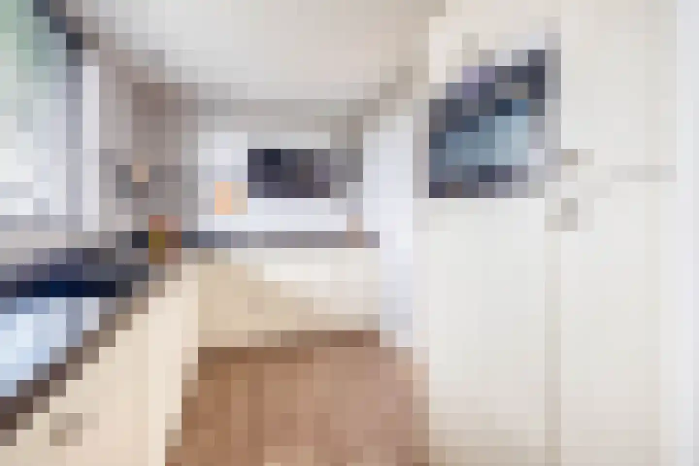 Parallelweg 2 Belfeld thumbnail 14