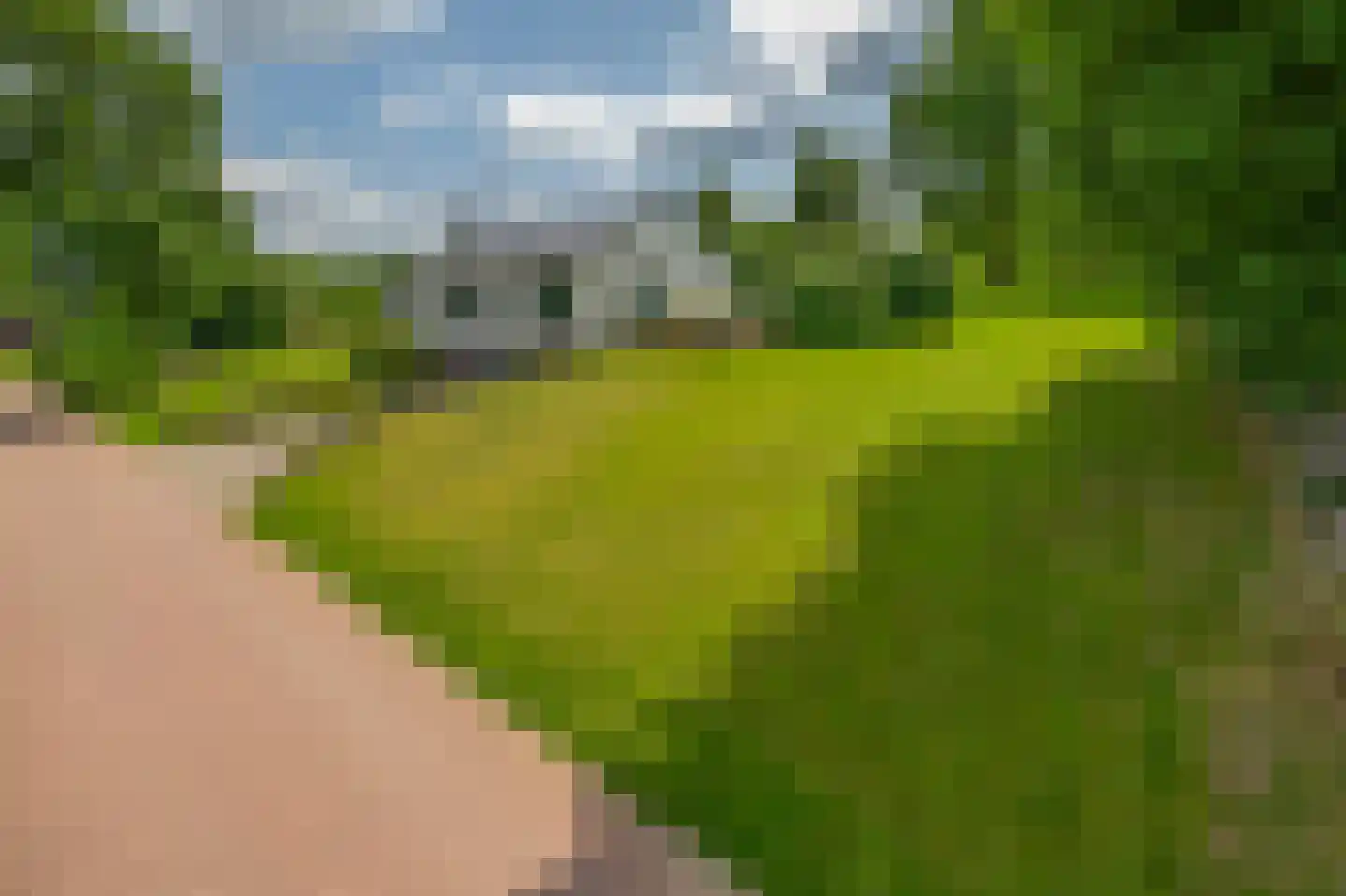 Parallelweg 2 Belfeld foto 2