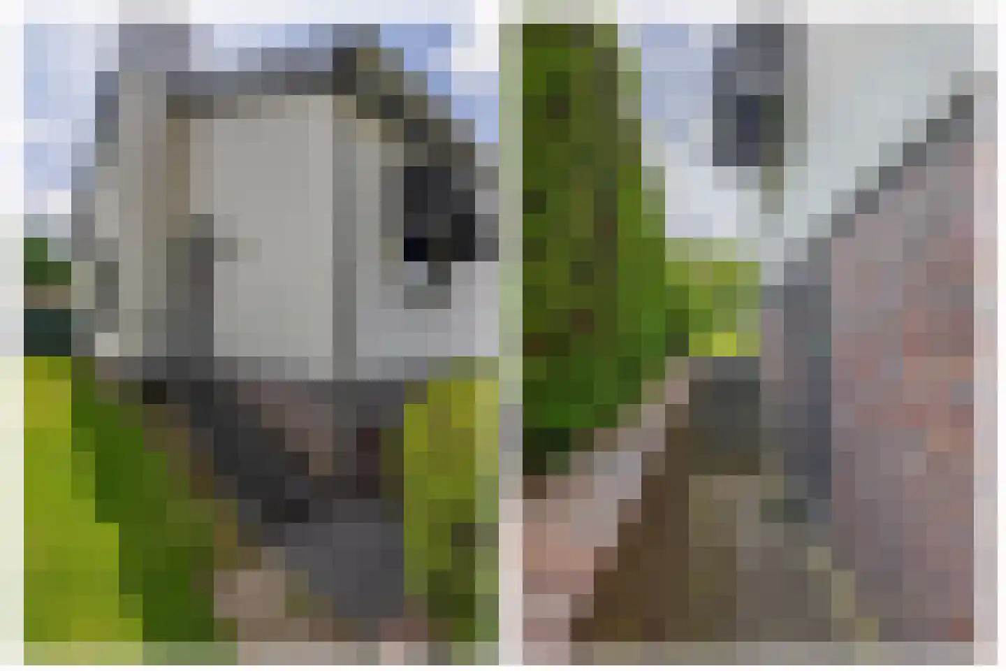 Parallelweg 2 Belfeld thumbnail 38