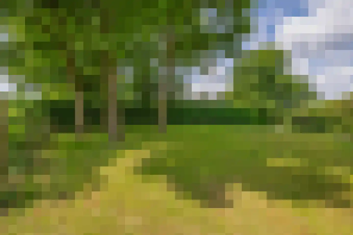 Parallelweg 2 Belfeld thumbnail 48