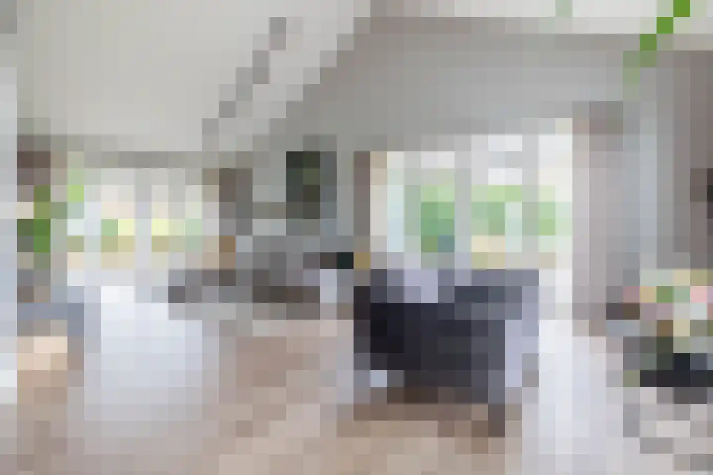 Parallelweg 2 Belfeld thumbnail 6