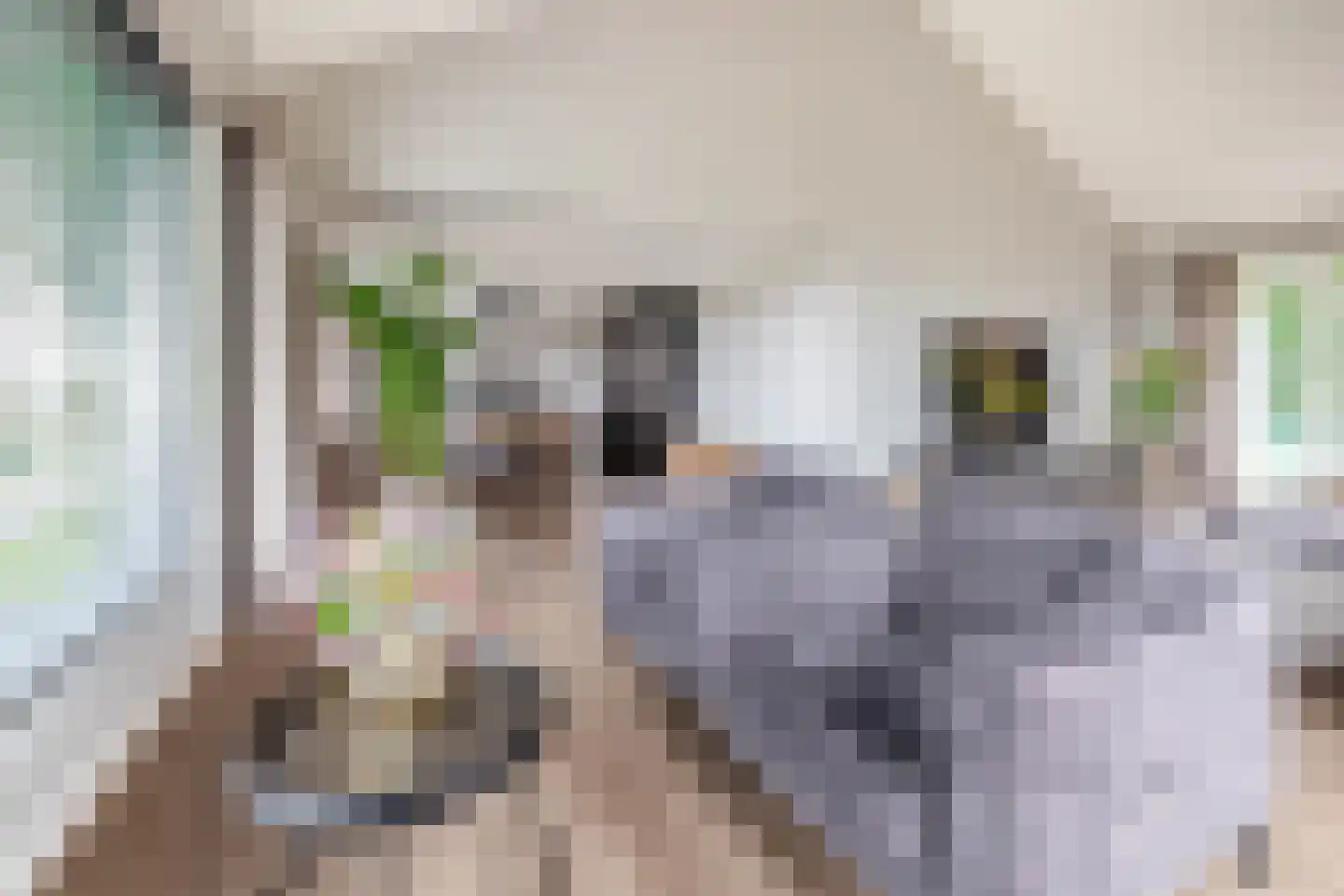 Parallelweg 2 Belfeld thumbnail 8