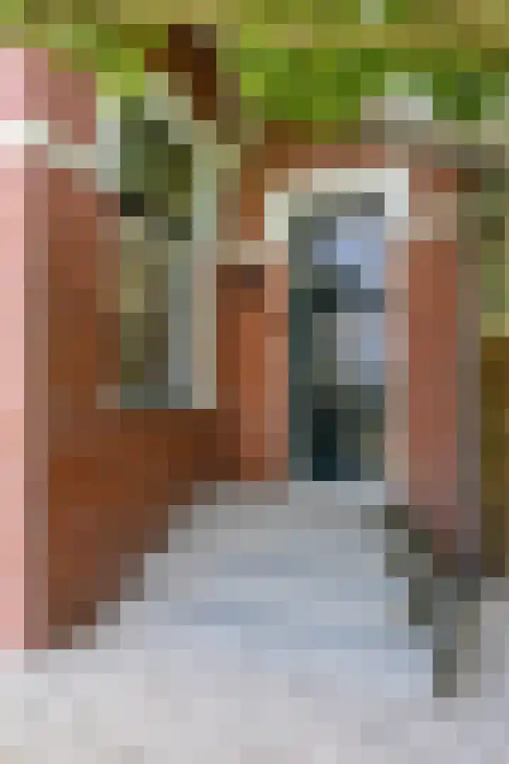 Parallelweg 2 Loppersum thumbnail 11