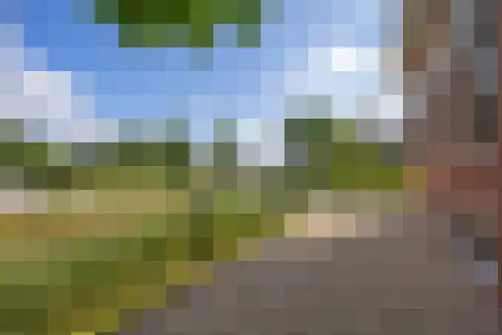 Parallelweg 2 Loppersum thumbnail 12