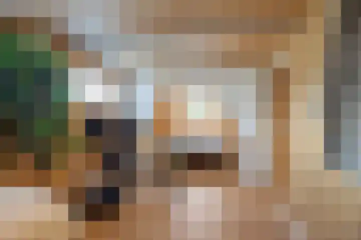 Parallelweg 2 Loppersum thumbnail 59