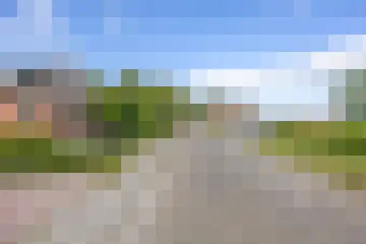 Parallelweg 2 Loppersum thumbnail 6