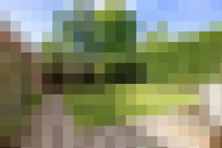 Parallelweg 2 Loppersum thumbnail 66