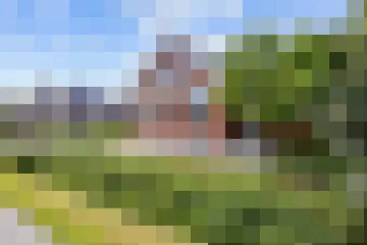Parallelweg 2 Loppersum thumbnail 7