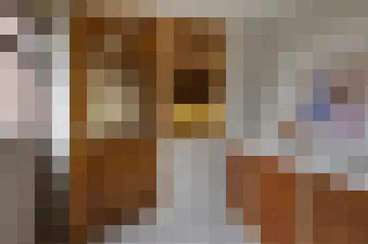 Parallelweg 2 Sint Pancras thumbnail 12