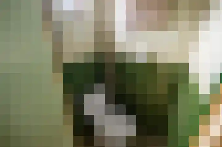 Parallelweg 2 Sint Pancras thumbnail 16