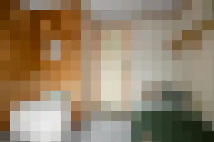 Parallelweg 2 Sint Pancras thumbnail 27