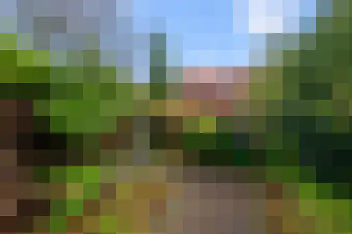 Parallelweg 2 Sint Pancras thumbnail 34