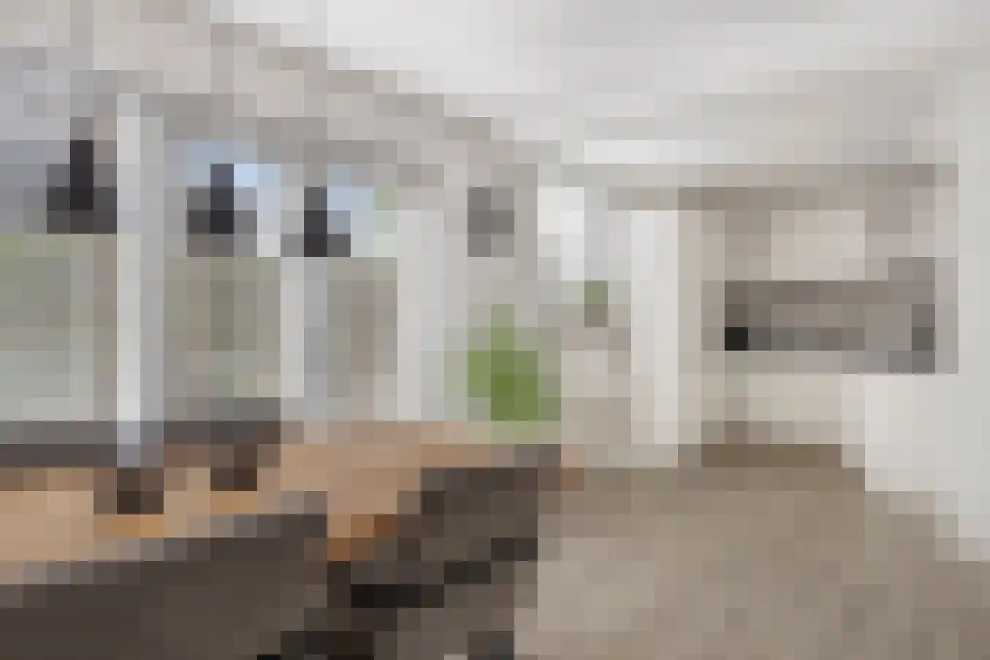 Parallelweg 20 Wagenberg thumbnail 16