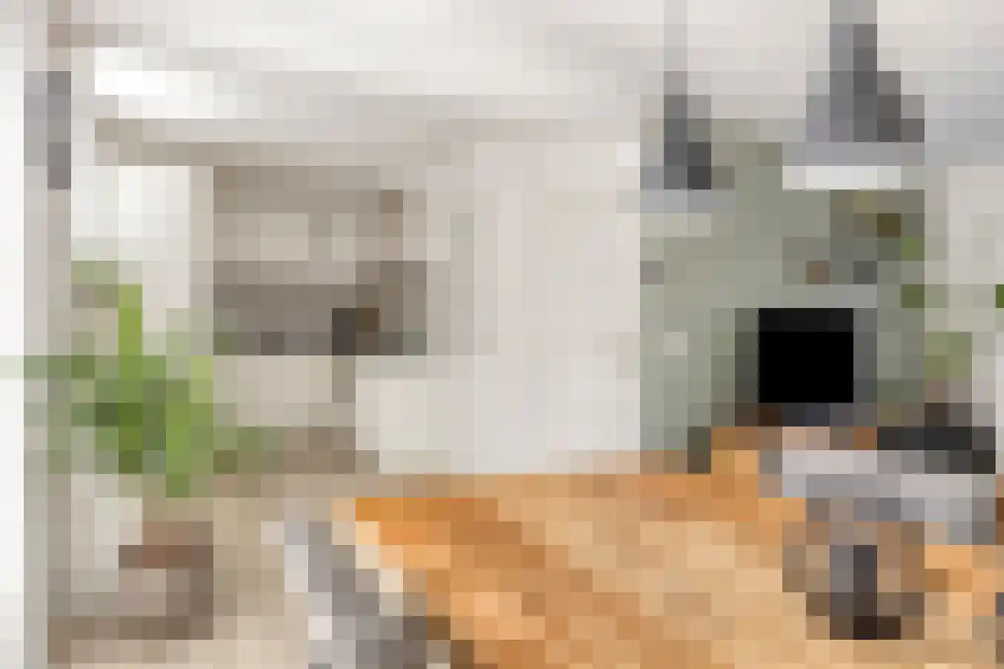 Parallelweg 20 Wagenberg thumbnail 17