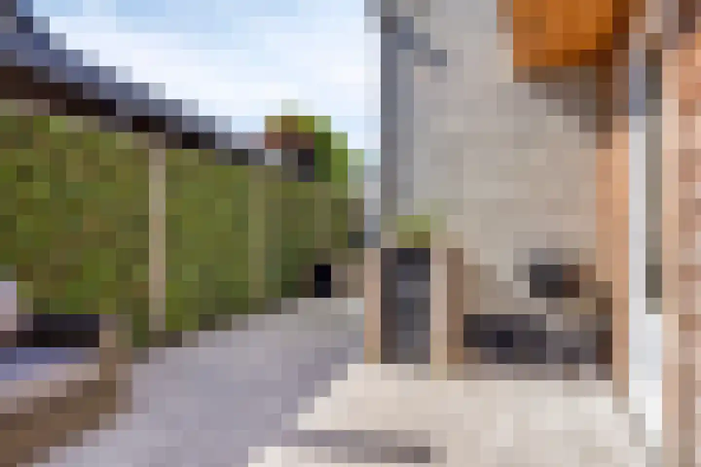 Parallelweg 20 Wagenberg thumbnail 43