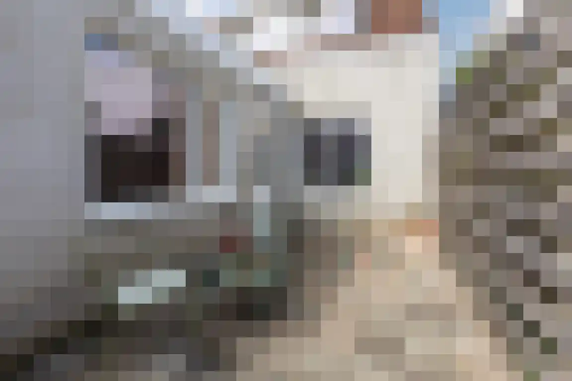 Parallelweg 200 Bergen op Zoom thumbnail 27