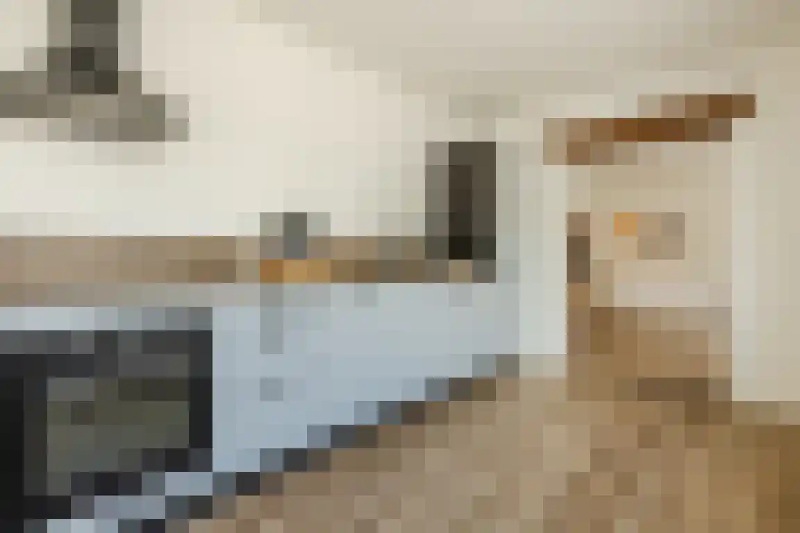 Parallelweg 200 Bergen op Zoom thumbnail 4