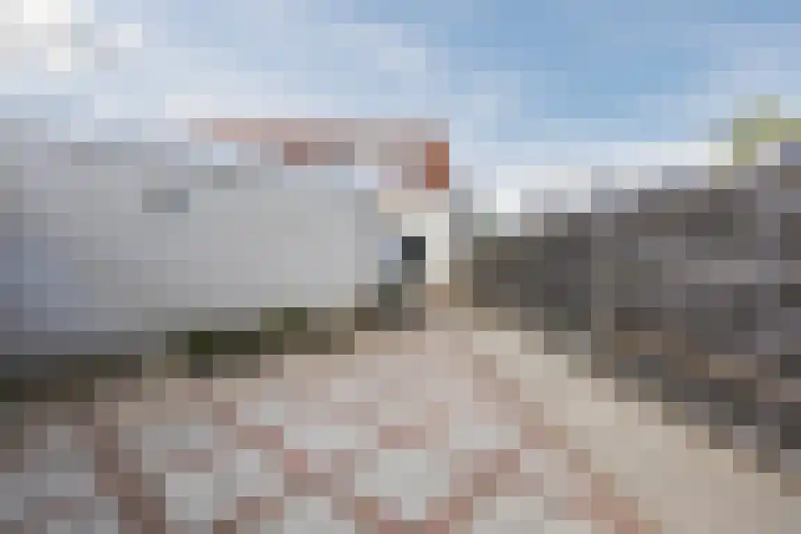 Parallelweg 200 Bergen op Zoom thumbnail 6