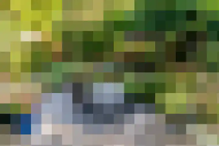 Parallelweg 22 Heelsum thumbnail 28
