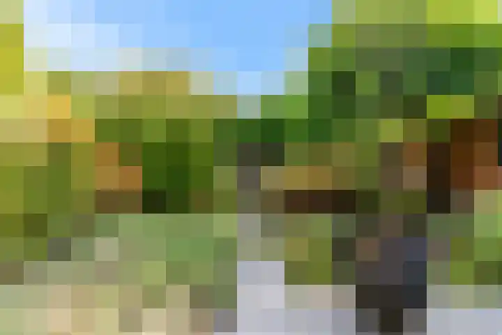 Parallelweg 22 Heelsum thumbnail 29