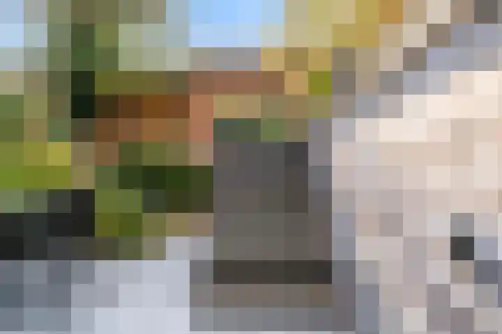 Parallelweg 22 Heelsum thumbnail 30