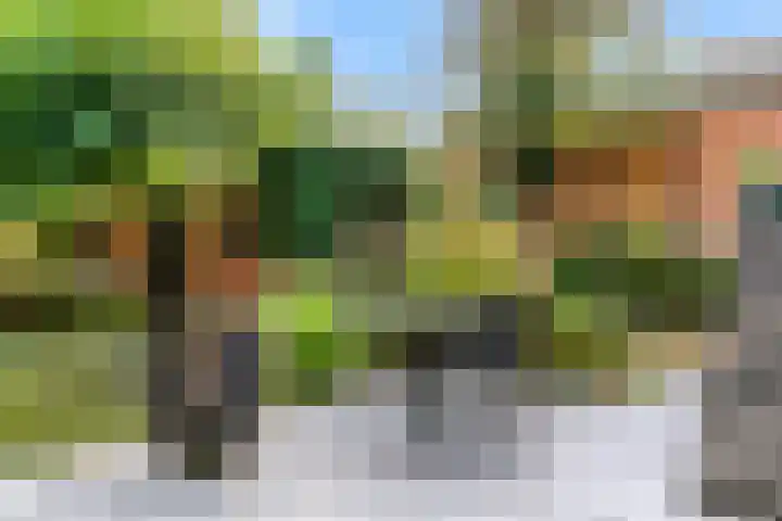 Parallelweg 22 Heelsum thumbnail 31
