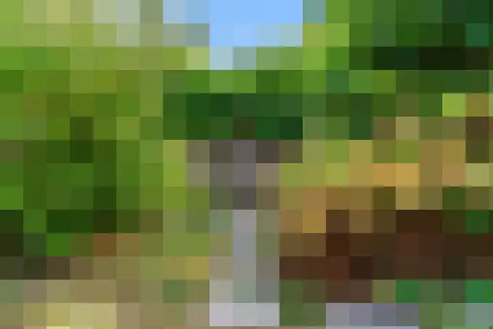 Parallelweg 22 Heelsum thumbnail 32