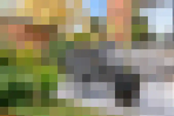 Parallelweg 22 Heelsum thumbnail 33