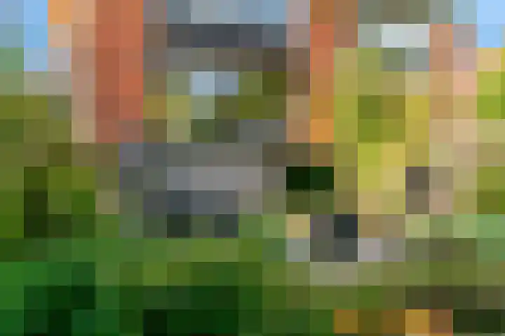 Parallelweg 22 Heelsum thumbnail 36